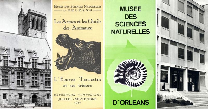 L'évolution du musée et cabinet d'histoire naturelle...