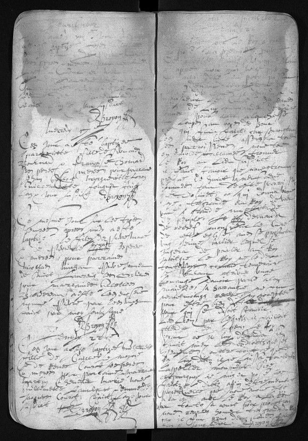 Qui a peur du grand méchant loup ?