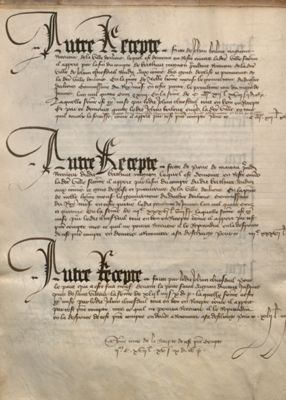 Comptes de forteresse. (1413-1415). 1 registre sur parchemin.  AMO, CC544