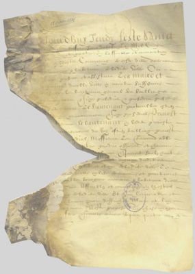 Acte d'assemblée générale de la Ville d'Orléans. 16 octobre 1584. 7 feuillets en parchemin (format 22 x 33 cm). AMO, BB1 (pièce N° 3). L'ensemble, très endommagé, présente de grosses lacunes.