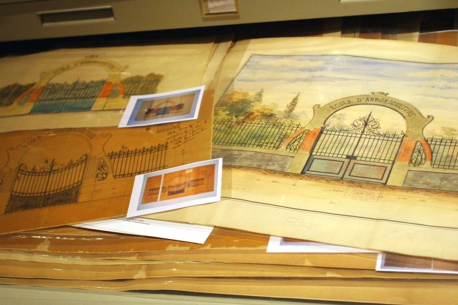 Archives iconographiques