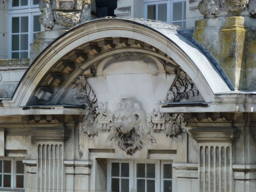 Les animaux à Orléans 