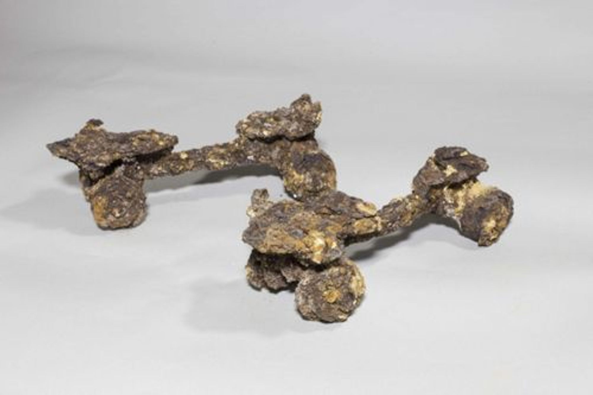 Patins à roulettes découverts lors de la fouille de 2012 (crédits : Ch. Camus, Musées d'Orléans, 2019)