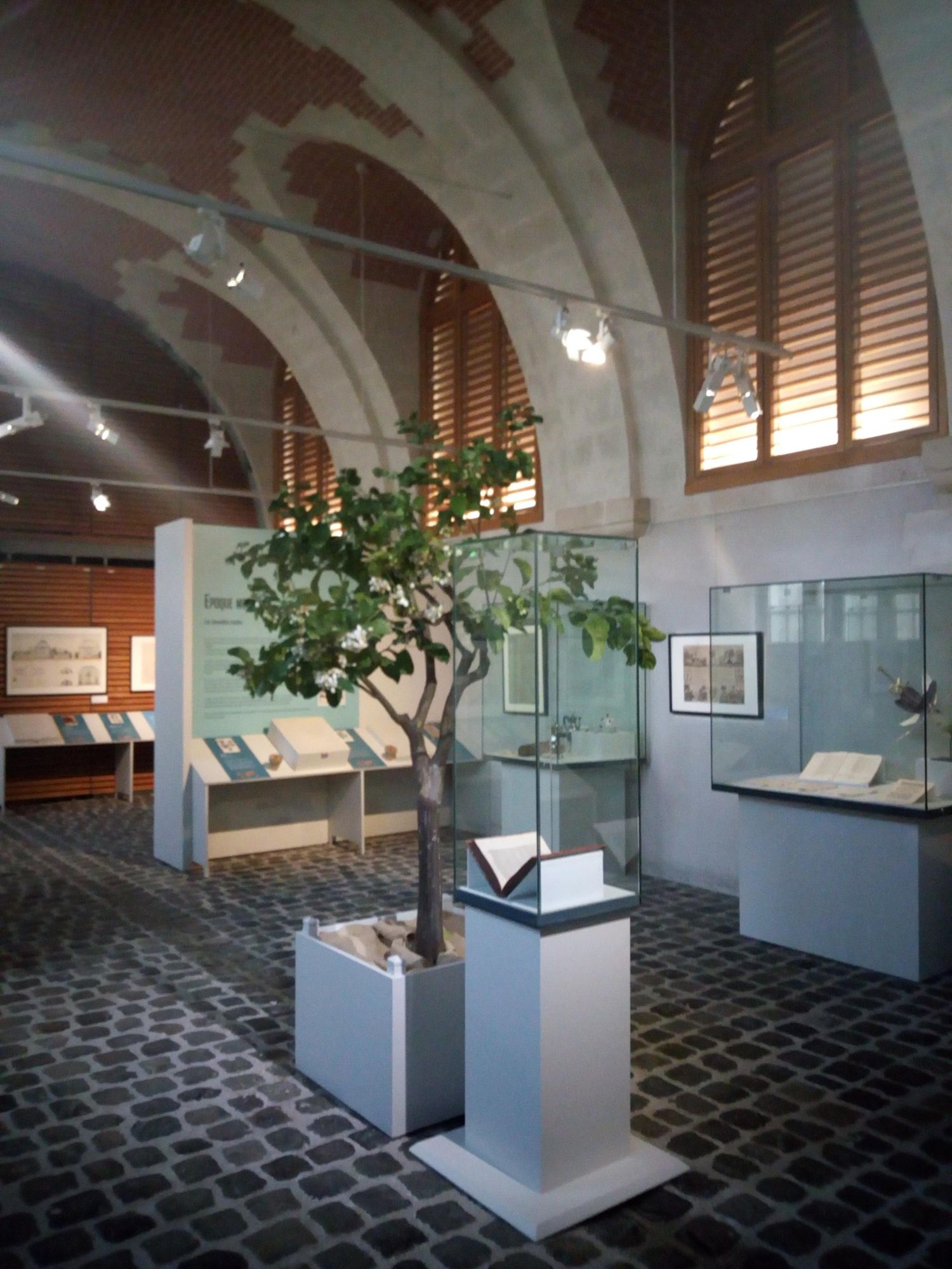 Plantes voyageuses. Une histoire des échanges et des goûts.