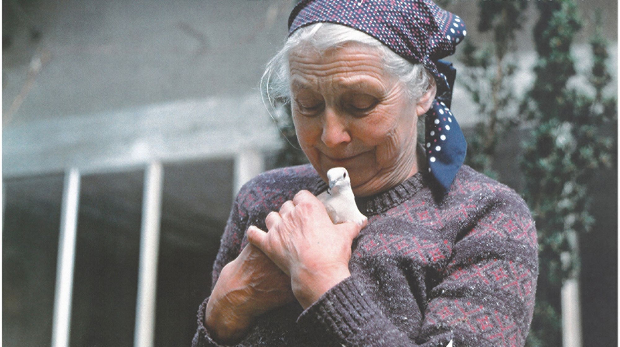 La réorganisation de l'enseignement et la réforme de l'école d'Orléans