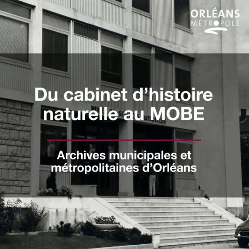 Du cabinet d'histoire naturelle au MOBE : muséum d'Orléans pour la biodiversité et l'environnement